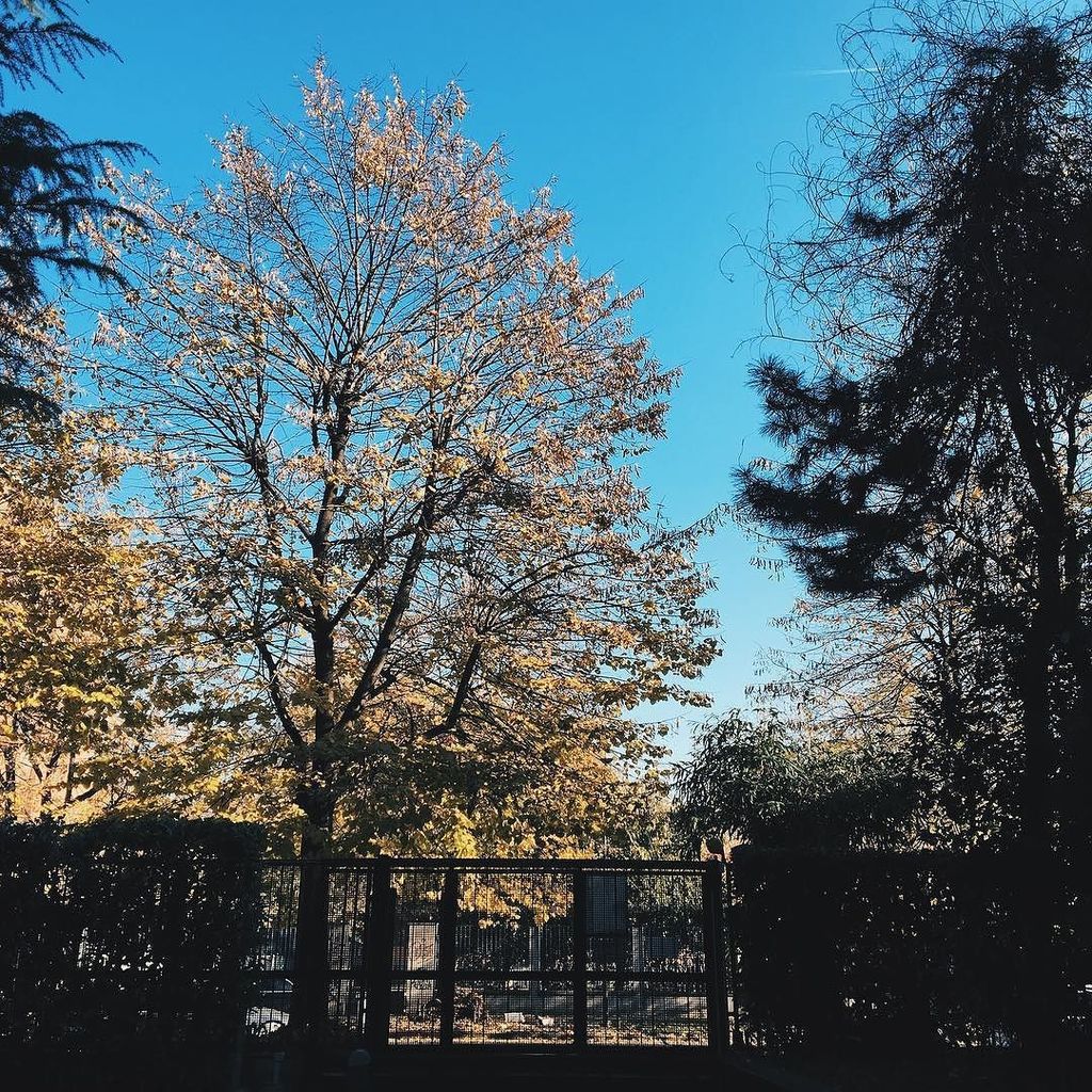 PeppeFrattura's tweet photo. #photography
#milano #milan #visitmilano #igersmilano #ig_lombardia #mobilephotography #iphone6s
#iphone6sphotography #iphonography #vsco #vscocam #vscoitaly #italia #italy #mobiography #jj_mobilephotography #youmobile #mobileartistry #mobileonlyph
#dreamingFujiEX3 https://t.co/1wEAijn5AI