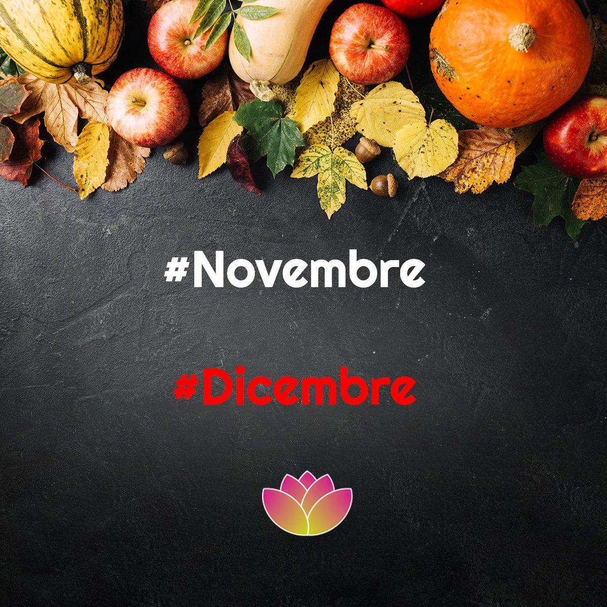 GardeaShop's tweet photo. Questo è il periodo perfetto per la potatura degli alberi. Gli arbusti che tendono a crescere molto in altezza, meglio accorciarli a circa un terzo della loro altezza, questo favorirà lo sviluppo di un arbusto più denso e compatto. https://t.co/IXKOXzkIJ8