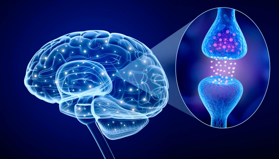 MNT_AnaSandoiu's tweet photo. Dementia: Unprecedented detail of brain damage revealed https://t.co/bY7j7QX9ue https://t.co/Qnl4DqpZit