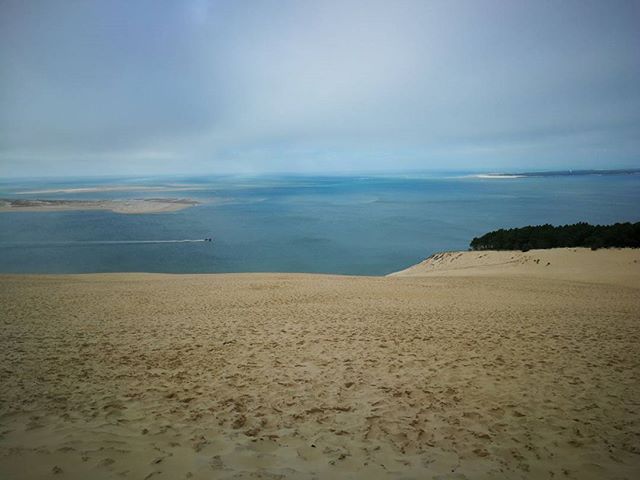 AltairPension's tweet photo. Paseos con #kilos y #kilos de #arena 😀
#dunadupilat #france #vacaciones #tiempolibre #blog #travelblogger #blogger #pensionAltair #reserca #aprovechatutiempo #conoce #viaja #relax #siestatime https://t.co/SNSVMdoCdr