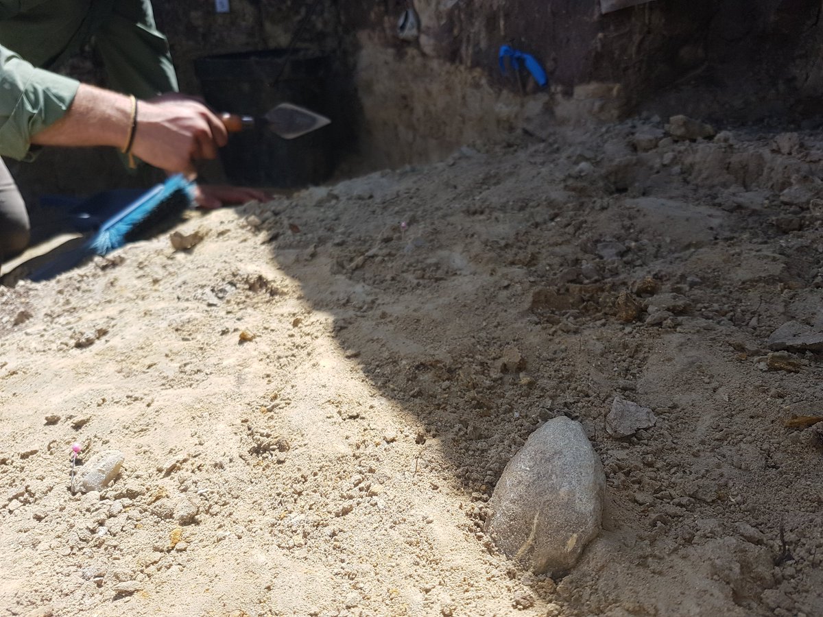 Matt_MWilliams's tweet photo. A flake emerging from the sediment and shadow at Amanzi Springs #ASAP2017 @Ozarchaeomaglab https://t.co/uXGY3jJ8cG