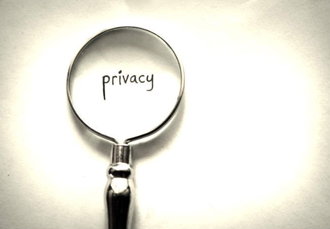 Explore Into tweet media