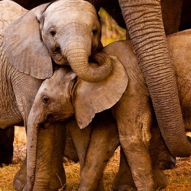 Lorretta Costello (@LorrettaC) / X