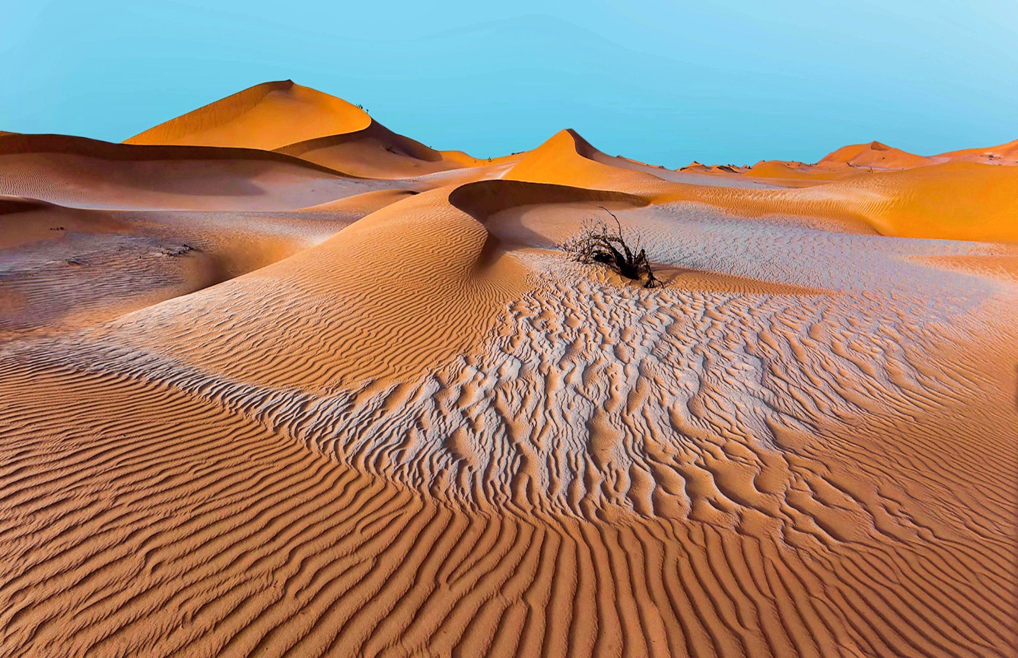 Le SAHARA, le plus grand désert du monde... - Page 2 DPOQ_VJUIAAqwUA