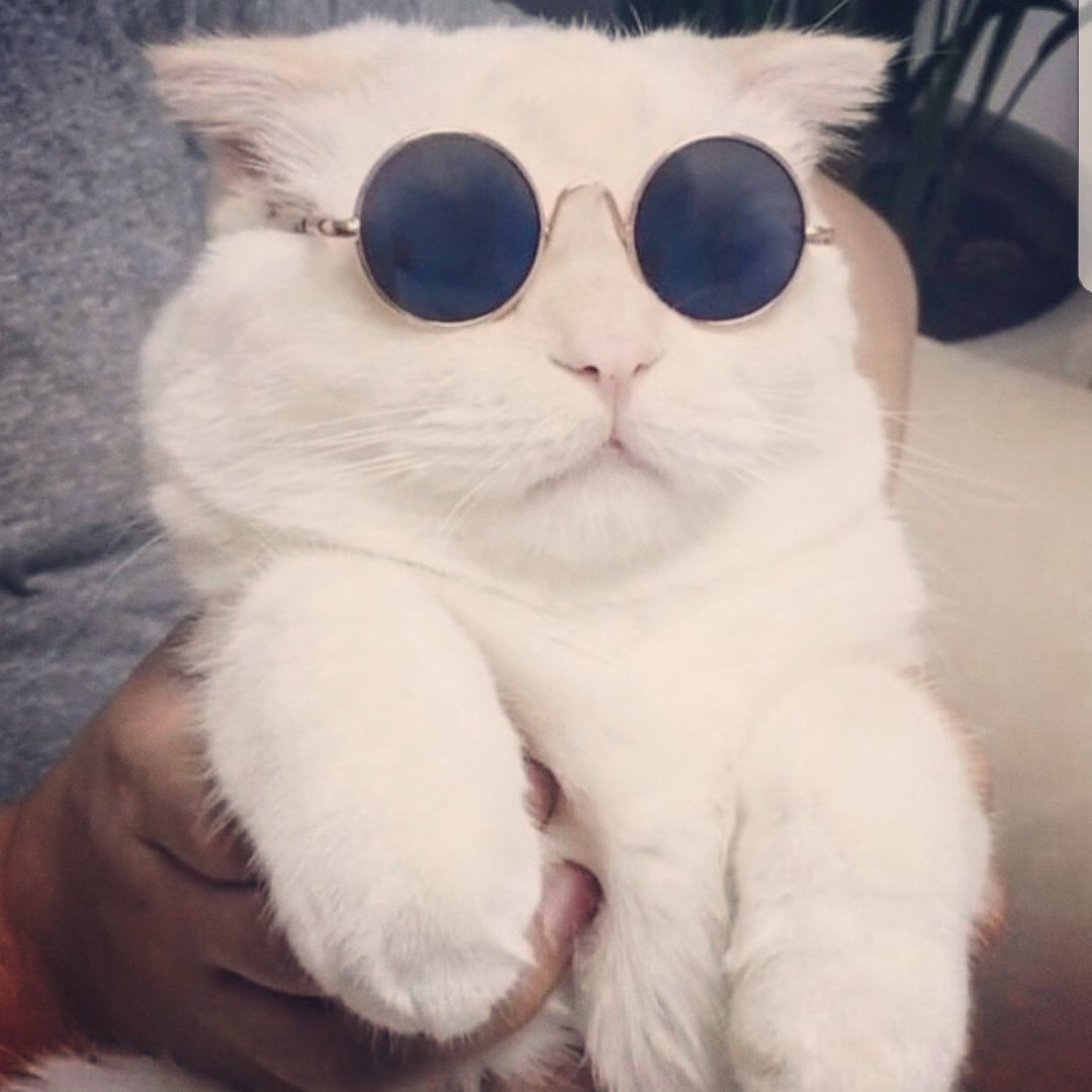 Info météo : on annonce grand soleil sur toute la France aujourd'hui ☀ Sortez les lunettes et chopez un max de vitamine D 😎