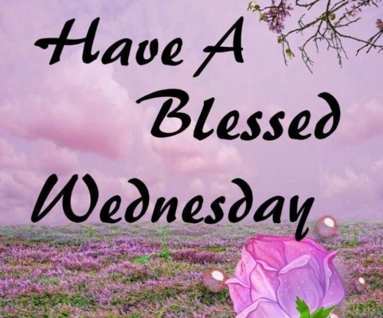 Maurel70879796's tweet photo. @Nashnicah @gabridalshows Monicah happy Wednesday to you my dear. https://t.co/pwRIpCZ7Cg