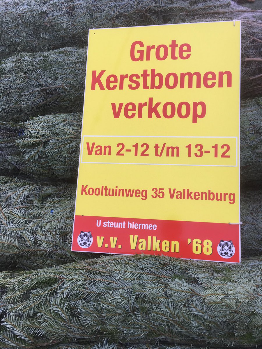 Vanaf 2 december staan we er weer, diverse soorten kerstbomen in verschillende maten. 🌲⭐️