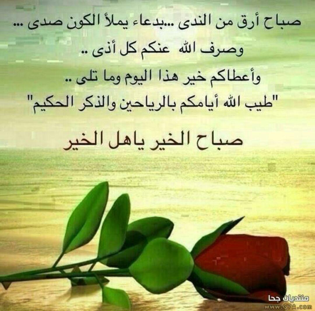 faezkilo tweet picture