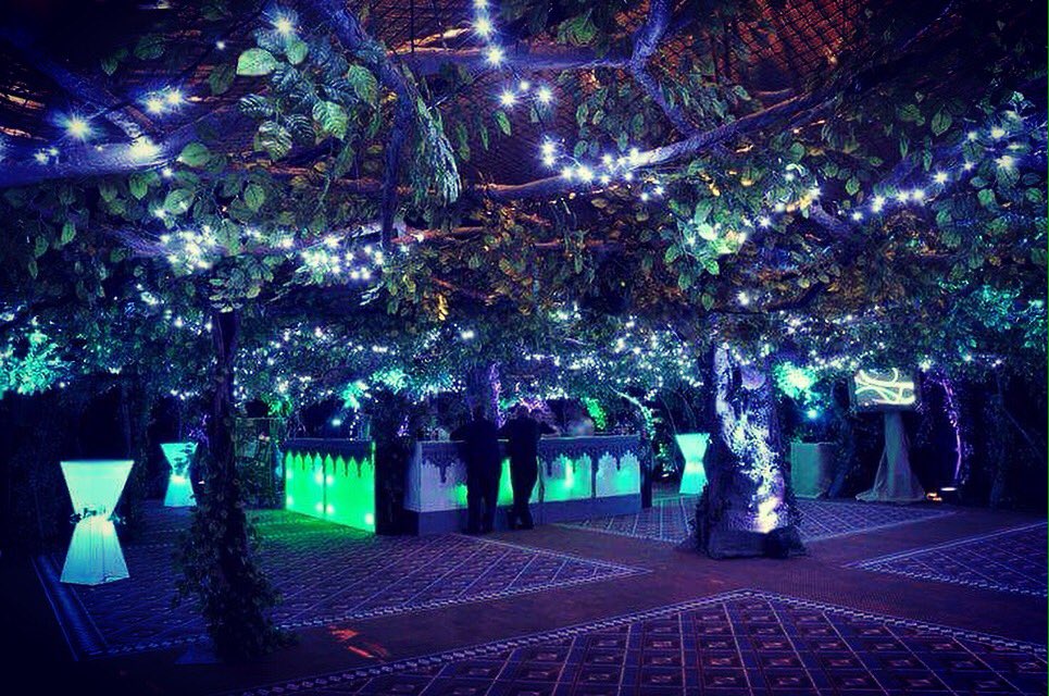 We can't wait 🙌 this should give an idea of what we have in store for our enchanted forest party tkts available now! residentadvisor.net/events/1001561