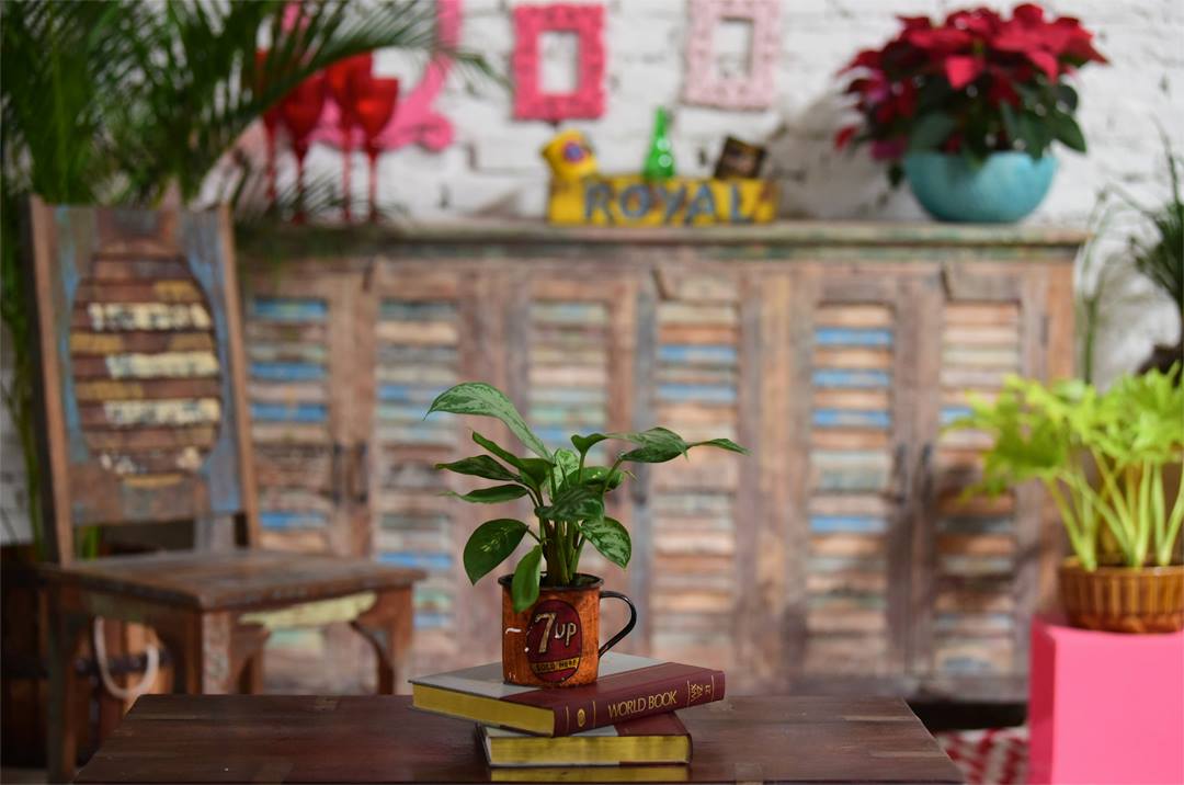 Gift_a_Plant's tweet photo. Fall hues and rustic vibes!
.
.
#Fall #Rustic #Cosy #Warm #Website #ComingSoon #Festive #HomeDecor #Lifestyles #Gift #Love #ProjectCo #ProjectPlant #Interiors #Exteriors #Decor #Nature #Ecofriendly #Healthy #Green #Plants #Plant #Plantlove #Garden #IndoorPlants #OutdoorPlants https://t.co/nrcx6Q6cMB
