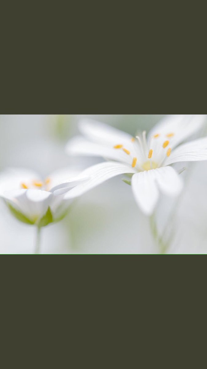 당신이
무언가를 
도전하고 시작하는 날

성공의
절반은 이루어 놓은 것 입니다

나머지 절반은

당신의 노력과 끈기와 패기가
이루어내야 할 몫인 것 입니다