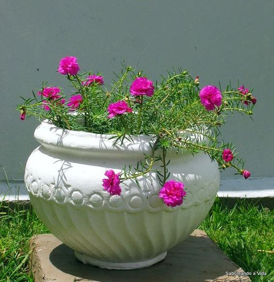 JSBSCARVING's tweet photo. Small Round Cheap Garden Stone Pot
#JSBS-Professional manufacturer for Pot | Planter since 1985!
https://t.co/0tHp2kRzv1 info@jsbs.cc whatsapp: 0086-18031122557
#vase #marbleplanter #stonepot #garden #flowerpot https://t.co/v6Kpr81a4R