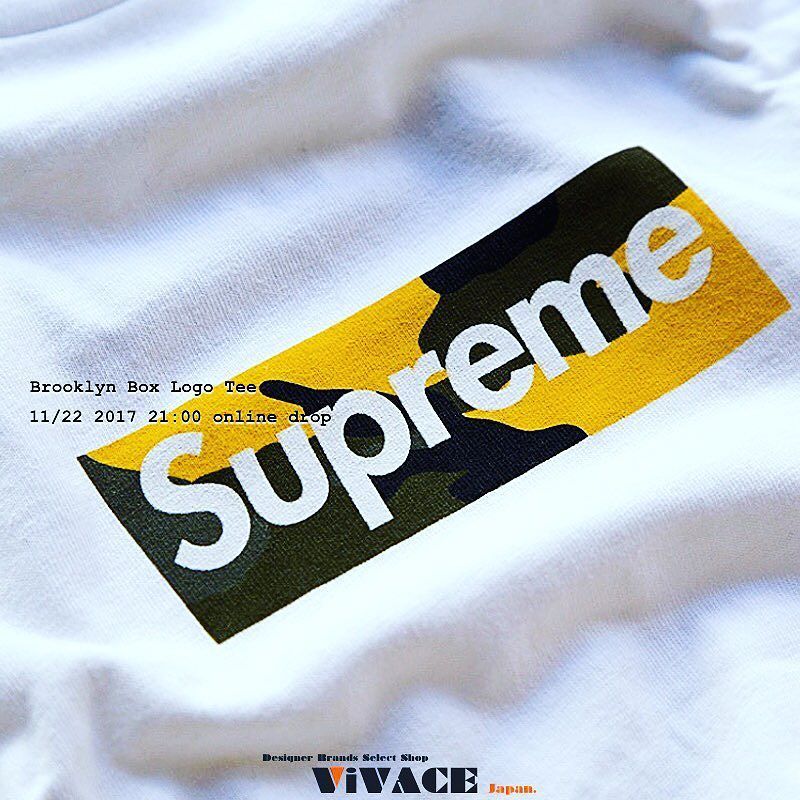 Vivacejapan Vivacejapan