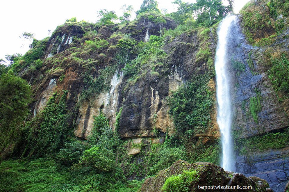 KAI121's tweet photo. Trekking ria ke Curug Muncar (Utara Kota Purworejo), kamu udah pernah kesana? Berlokasi di Desa Kaliwungu, Kec. Bruno (Kawasan Perhutani). Turunnya di Stasiun Kutoarjo, banyak rangkaian KA berhenti disini. Pesan tiketmu via: https://t.co/8Q58TLGdaH atau #KAIAccess #AyoNaikKereta https://t.co/7MU8Fxd4L0