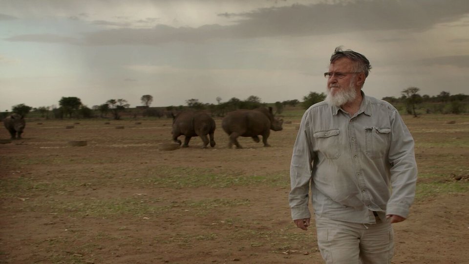 New Q&amp;A clip released for rhino conservation documentary Trophy goo.gl/GuhMEy via @entfocusfilm #Trophy #TrophyTheFilm