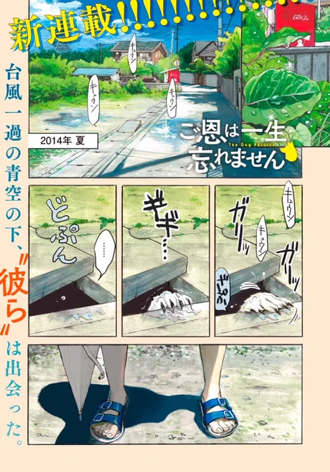 【お知らせ】そして第1話がサイトで無料で読めるようになりました。面白かったら「感想を送る」ボタンから感想を送って下さると嬉しいです。
https://t.co/d2bnf8y0I4 