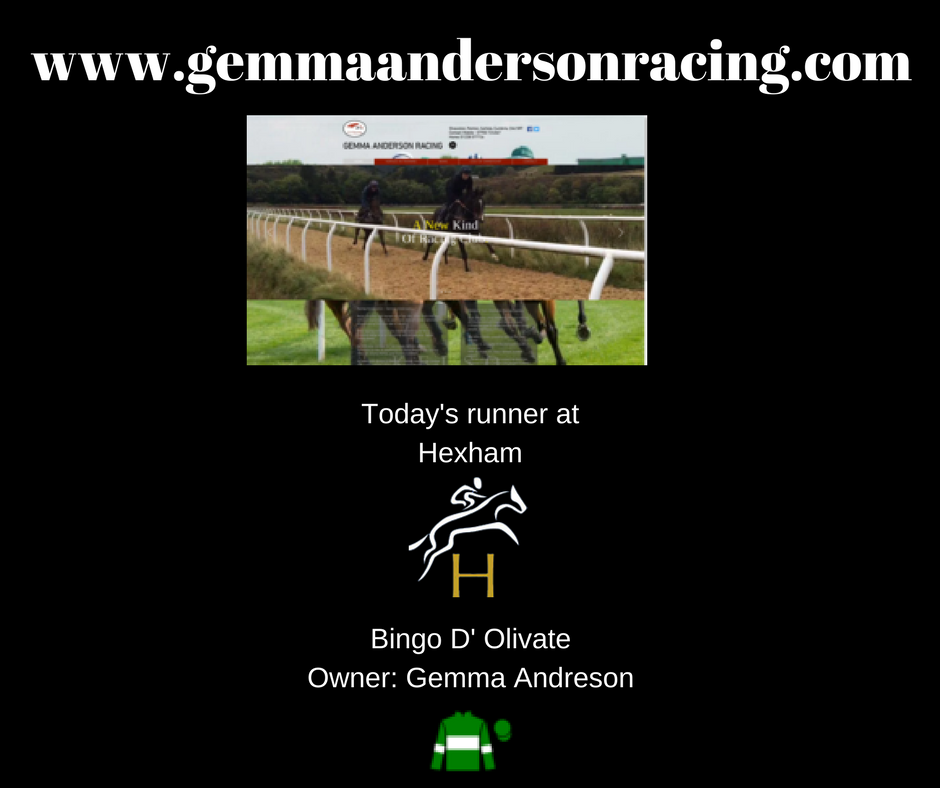 SimonlongRacing's tweet photo. https://t.co/D2453yfl5G Best wishes to all connections @GemEJAnderson https://t.co/C15OplSLw1 Runner @HexhamRaces #GoBingo https://t.co/XlFqcrxZOd