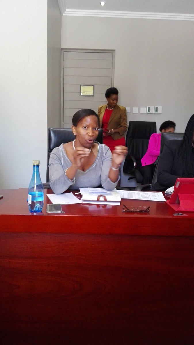 WED_Botswana's tweet photo. Lily Rakorong CEO of HATAB and Chair person of RETOSA https://t.co/psxbJkIg3X