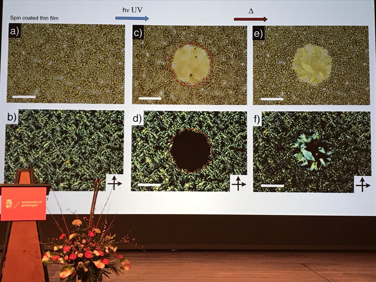 sirfrasersays's tweet photo. Massimo Baroncini (Bologna) treats us to a lesson on the history of azobenzene before describing the photoinduced reversible phase change in porous molecular crystals based on star-shaped azobenzene tetramers which he likens to caltrops!  #MMNP   @univgroningen https://t.co/1qcVMlPEhf