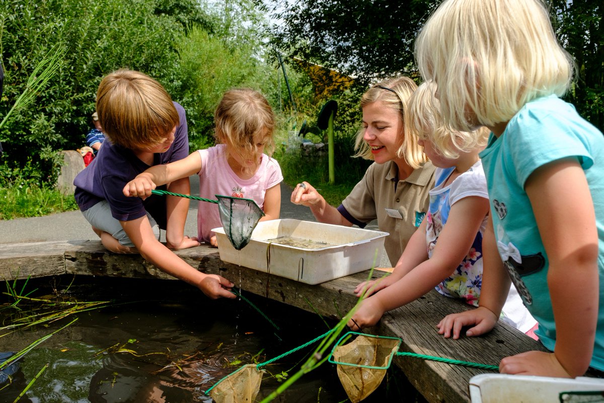 WWTLondon's tweet photo. KS2 &amp; KS3 teachers! WWT are developing new pre- &amp;  post- visit resources for schools and would like your ideas in a focus  group this Monday 27th Nov 4-6.30pm. There will be a generous reward for your time and input.  Contact education.london@wwt.org.uk for more details. https://t.co/liMFqCoZuS