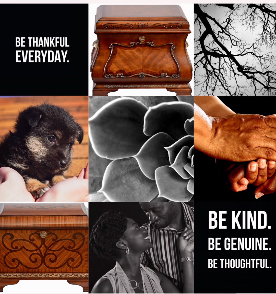TheLifeChest's tweet photo. To be #grateful is to find #blessings in everything. This is the most #powerful attitude to adopt. ~ #Thanksgiving #LiveLifeToTheFullest #LifeChest https://t.co/MnKe0uKlAB