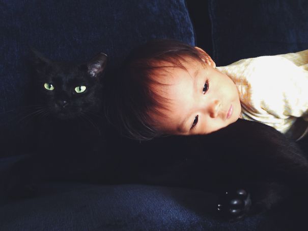Kattenconsult's tweet photo. Nieuw Deens onderzoek onder 377 kinderen toont aan dat het opgroeien met een kat de kans op ontwikkeling van astma, bronchiolitis en een longontsteking aanzienlijk vermindert. Dit geldt niet voor het opgroeien met honden! https://t.co/fTyeOI5Hjn https://t.co/fdvW4F1nYM