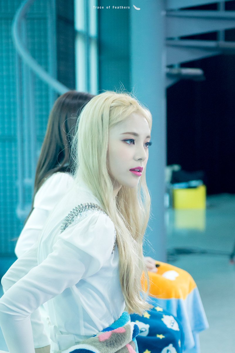 TraceofFeathers's tweet photo. 171106 팩트인스타

#이달의소녀 #LOOΠΔ 
#오드아이써클 #ODDEYECIRCLE 
#진솔 #JinSoul
@loonatheworld https://t.co/QFasupOEKp