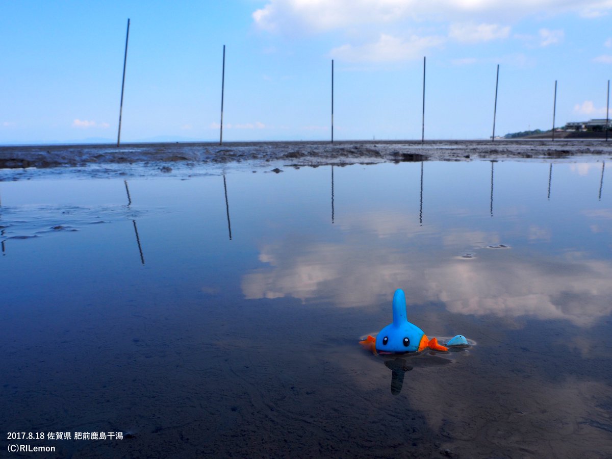 リルえもん 宮城県伊豆沼にてヌマクローです ミズゴロウを干潟で撮った時とは違って天気が悪いですが 違いが出ていてこれはこれで良いかなとも思います ラグラージはどこで撮ることになるんだろうな ポケモンキッズ ポケ地図プロジェクト