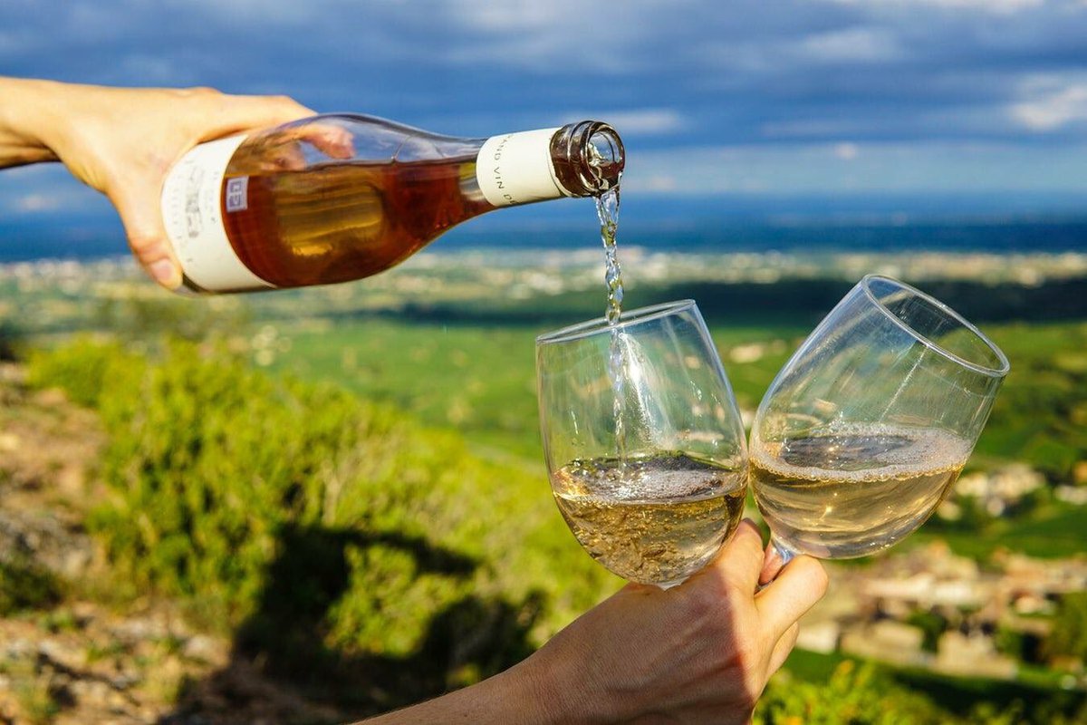 TasteloungeSA's tweet photo. Fancy a glass of White 🍷 this #WineWednesday? Our selection includes:

- Fat Bastard Chardonnay @FATbastardSA 
- Haute Cabrie Chardonnay @HauteCabriere 
- Robertson Chapel @RobertsonWinery 
- Nederberg @Nederburg 

Join us! https://t.co/9fmofWq1mz