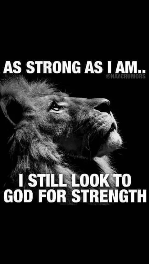 markfish74's tweet photo. Today and everyday https://t.co/fwGXEsVTJi