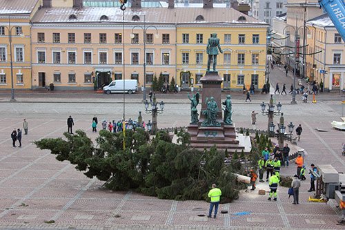 helsinki's tweet photo. #Senaatintorin kuusi on Laajasalosta. Kaadettu Jukka Kiiskisen tontilta, johon rakennetaan omakotitalo. #kuusi #joulukuusi #Suomi100 https://t.co/yr1wikt88Z