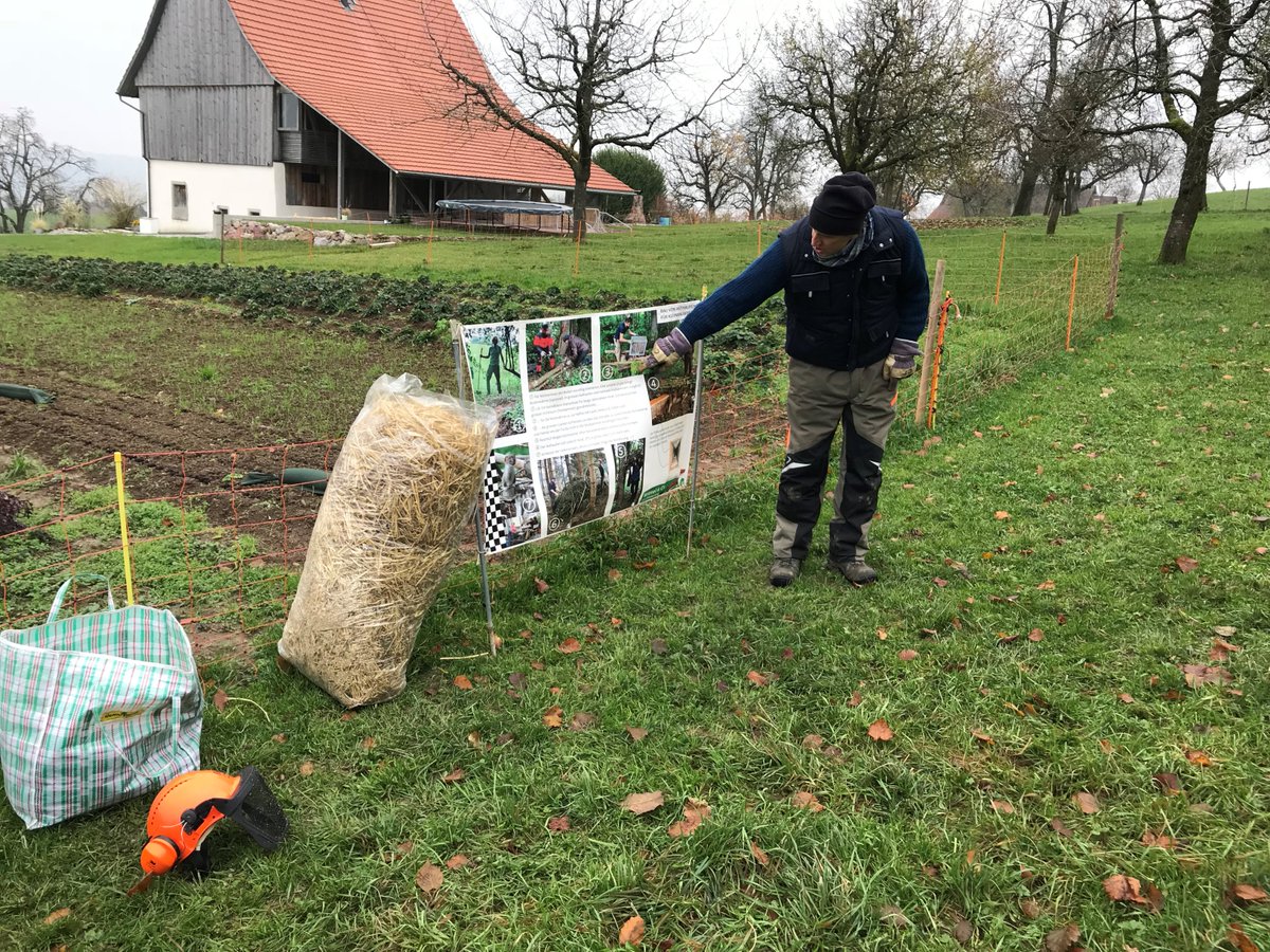 webtiser's tweet photo. Social Event Webtiser
#Webtiser erarbeitet mit seinen Mitarbeitern neuen Lebensraum für die Wiesel. Die Wiesel gehören zu den bedrohten Tierarten in der Schweiz. https://t.co/vaocLtXGLO