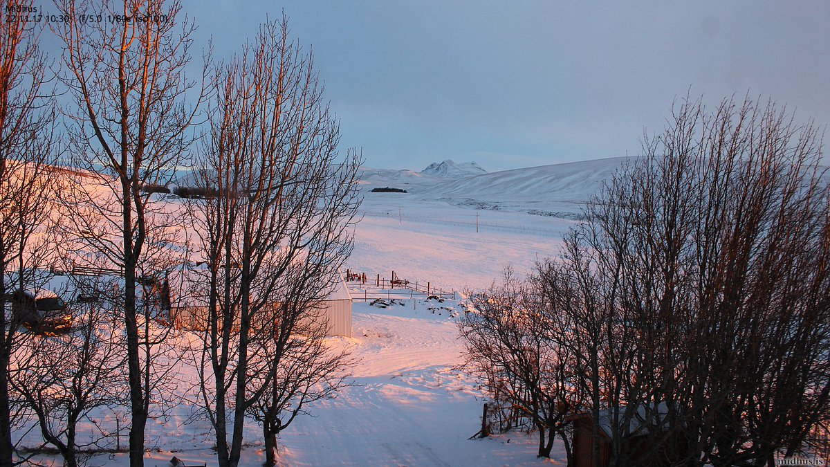 me_too's tweet photo. Incredible but cold #sunrise colours in #Iceland #Midhus #webcam <3 https://t.co/wB7csbGVpL