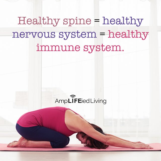 sabelldc's tweet photo. The innate power of the brain controls every function of your body. The spine can interfere with this control if it is not in alignment. https://t.co/QXATYNDqjg