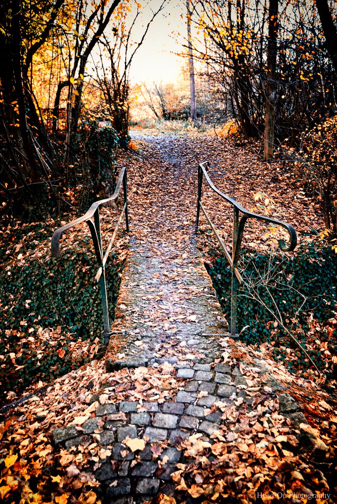 HeadOnPhot's tweet photo. 'Invitation' #photography #NaturePhotography https://t.co/EGQdOe6rbc