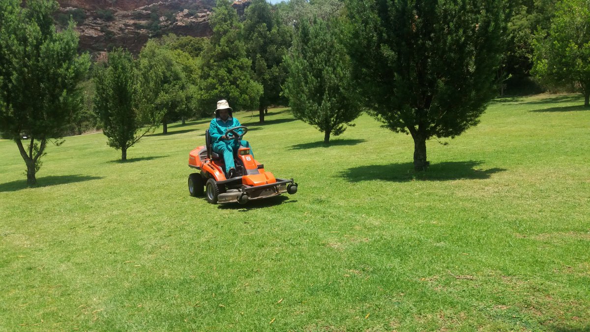 zizo_twantwa's tweet photo. It was such a great experience
Learning how to operate a Ride on lawn mower.
#Horticulture
#AllThingsNature๐ฑ https://t.co/YELIlfCEtc