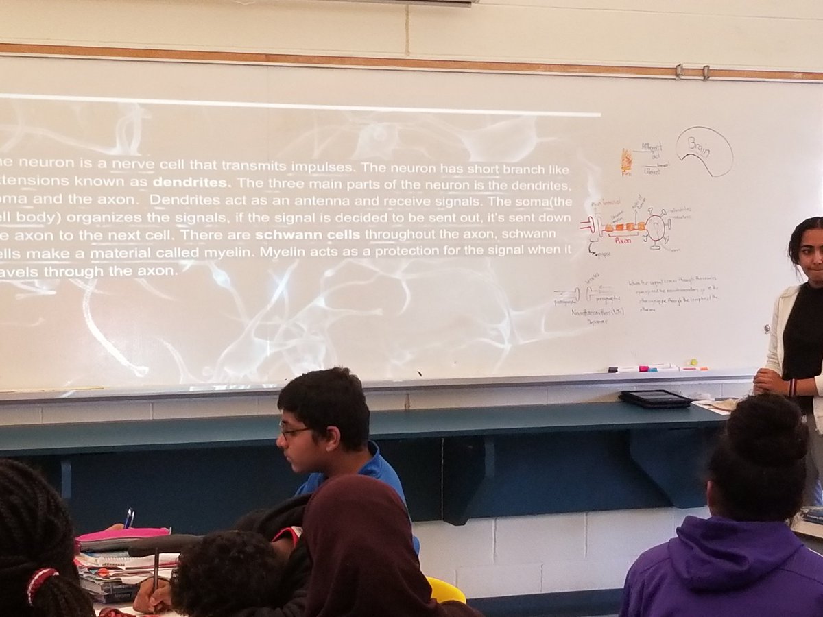 TDSB_Islington's tweet photo. Gr8 Students doing the teaching @tdsb @LN22_tdsb #owningthelearning   @s_spyropoulos @TDSB_STEM @MitzieHunter https://t.co/SimhlIY5Zi