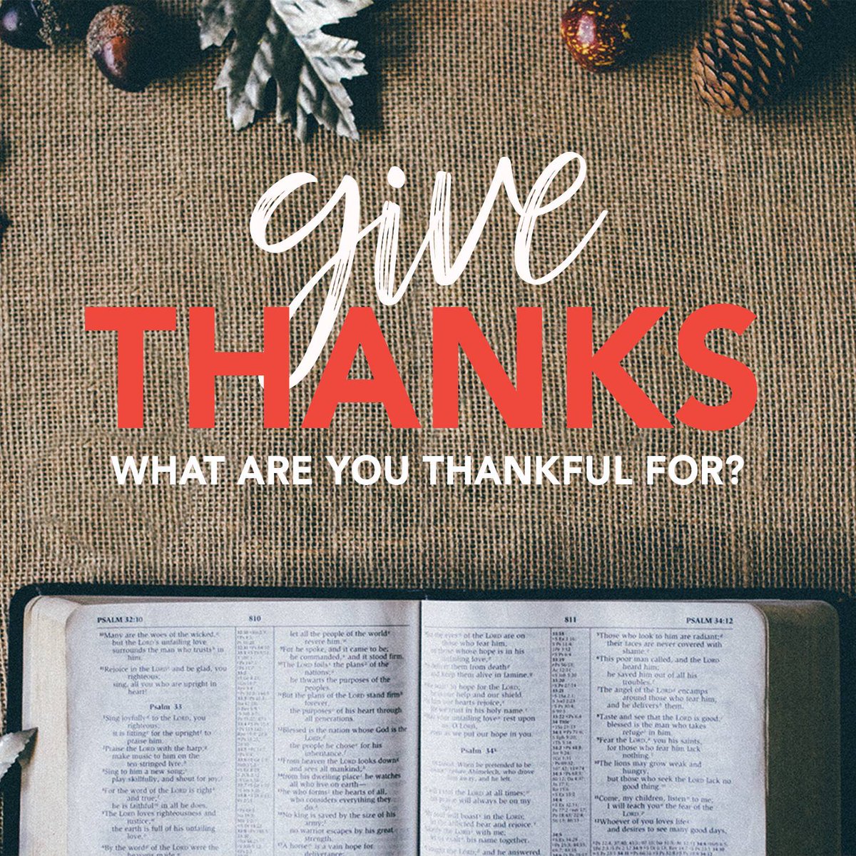 CrossWayBible tweet picture