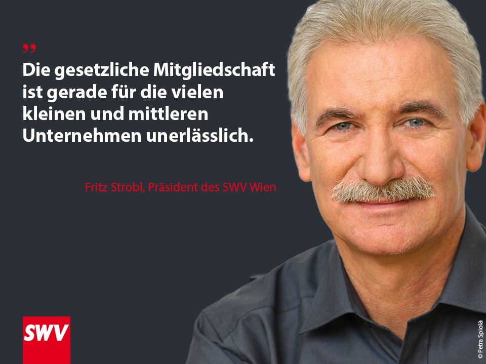 SWVWien's tweet photo. Die ÖsterreicherInnen stehen zur #Sozialpartnerschaft. Sie ist aber nicht nur für ArbeitnehmerInnen wichtig, sondern auch für kleinere Unternehmen. Unser Antrag dazu im #Wirtschaftsparlament: https://t.co/0n0ygRWymY https://t.co/k27IPE3FBy
