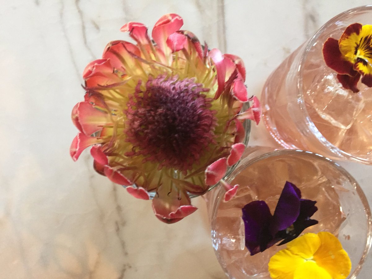 ILoveFoodiesCT's tweet photo. The first 60 guests at the #HarringtonsCT #HighFidelityWednesdays get a complimentary @dewars cocktail and a scotch egg! https://t.co/DDsq1bMe1z