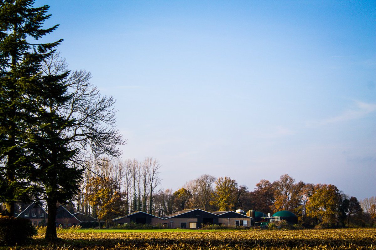HoSt_bioenergy's tweet photo. No rain today, but beautiful #autumn weather. This resulted in this great photo of our new #Microferm green gas installation in Deurningen. Only 15 km from our HQ! #biogas #biomethane → https://t.co/F6urqVP4rs https://t.co/9Fcc69bCXC