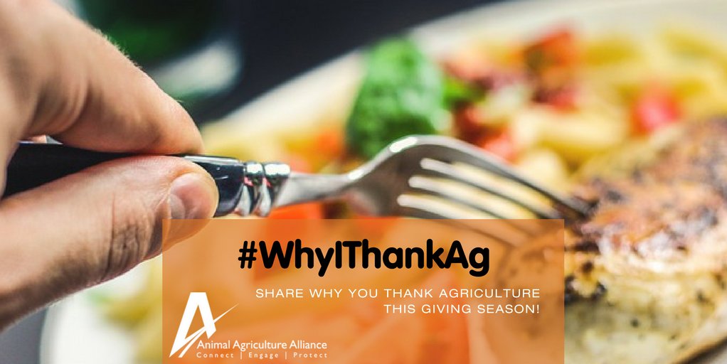 CF_Farms's tweet photo. Agriculture is at the forefront of CF's mission to feed a growing world. Why do you thank agriculture? #WhyIThankAg #AnimalAgAlliance https://t.co/svhXf4DVdW