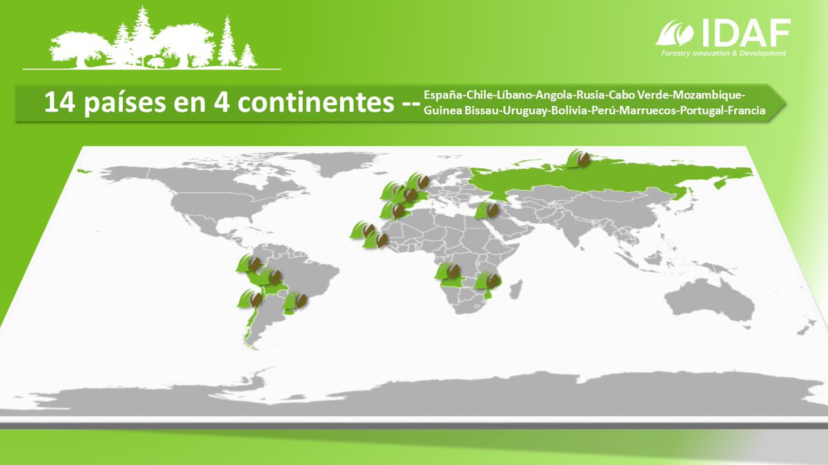 IDAFChile's tweet photo. ¿Sabías que nuestra experiencia y presencia se constata con proyectos en 14 países diferentes?
Esto es #iForestry
#LiDat #LiDAR #BigData #silvicultura #gestionforestal https://t.co/yDNxYT94E2