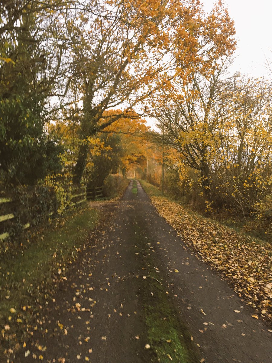 wrenmedia_uk's tweet photo. Nice autumnal colours on our team walk this afternoon #walksatwork #Suffolk https://t.co/pBOx3jBM4J