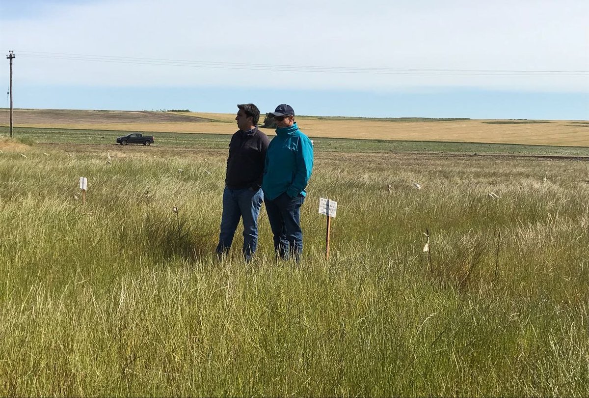 CuthillAgro's tweet photo. En el día de ayer participamos de la #Jornada #Crea #Mar y #Sierras en la Estancia Aleluya.
Hicimos ensayos con #NPA a diferentes dosis para el control de raigras, obteniendo muy buenos resultados. 🌱🌱💦💦 https://t.co/eLYU3o4qGu