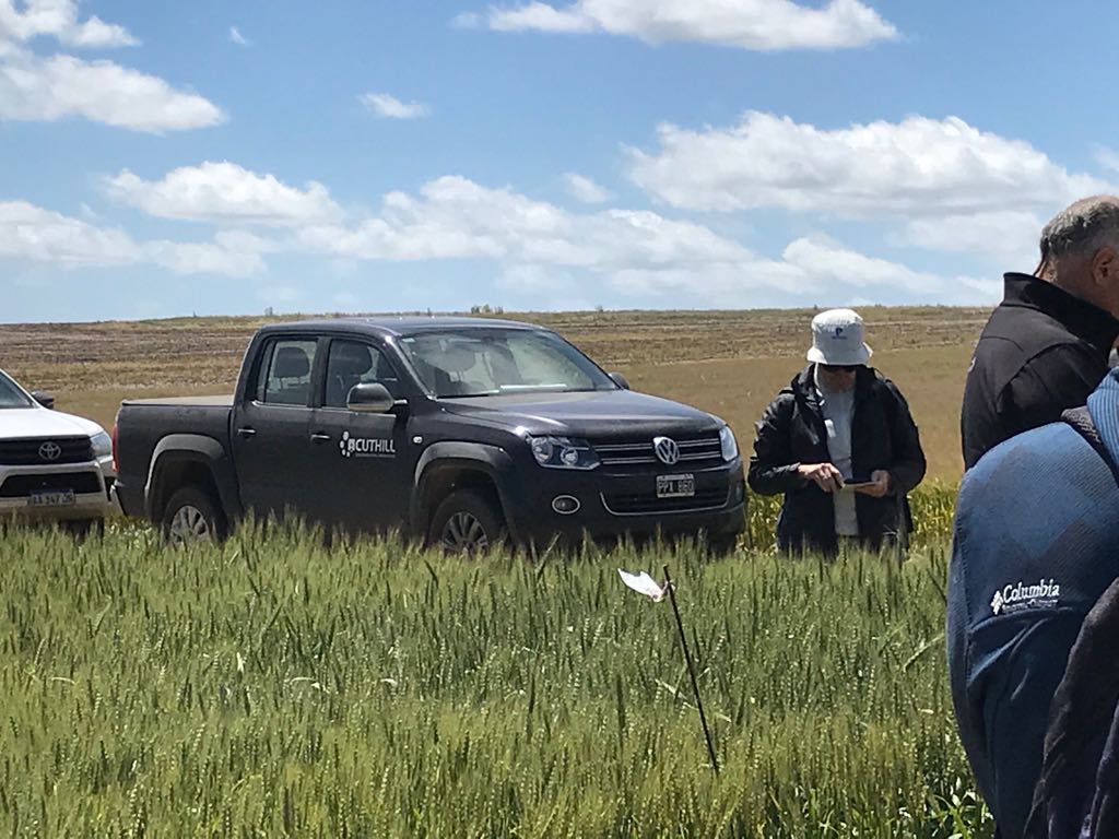 CuthillAgro's tweet photo. En el día de ayer participamos de la #Jornada #Crea #Mar y #Sierras en la Estancia Aleluya.
Hicimos ensayos con #NPA a diferentes dosis para el control de raigras, obteniendo muy buenos resultados. 🌱🌱💦💦 https://t.co/eLYU3o4qGu