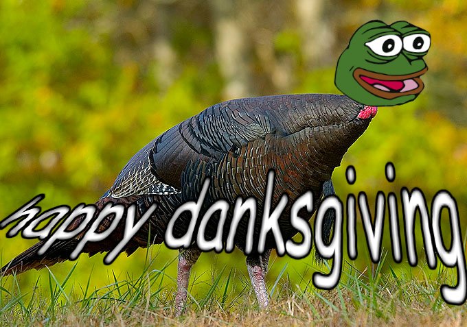 TheMasonChen's tweet image. Want a nice Thanksgiving break? TOO BAD BECAUSE THIS TURKEY EXISTS