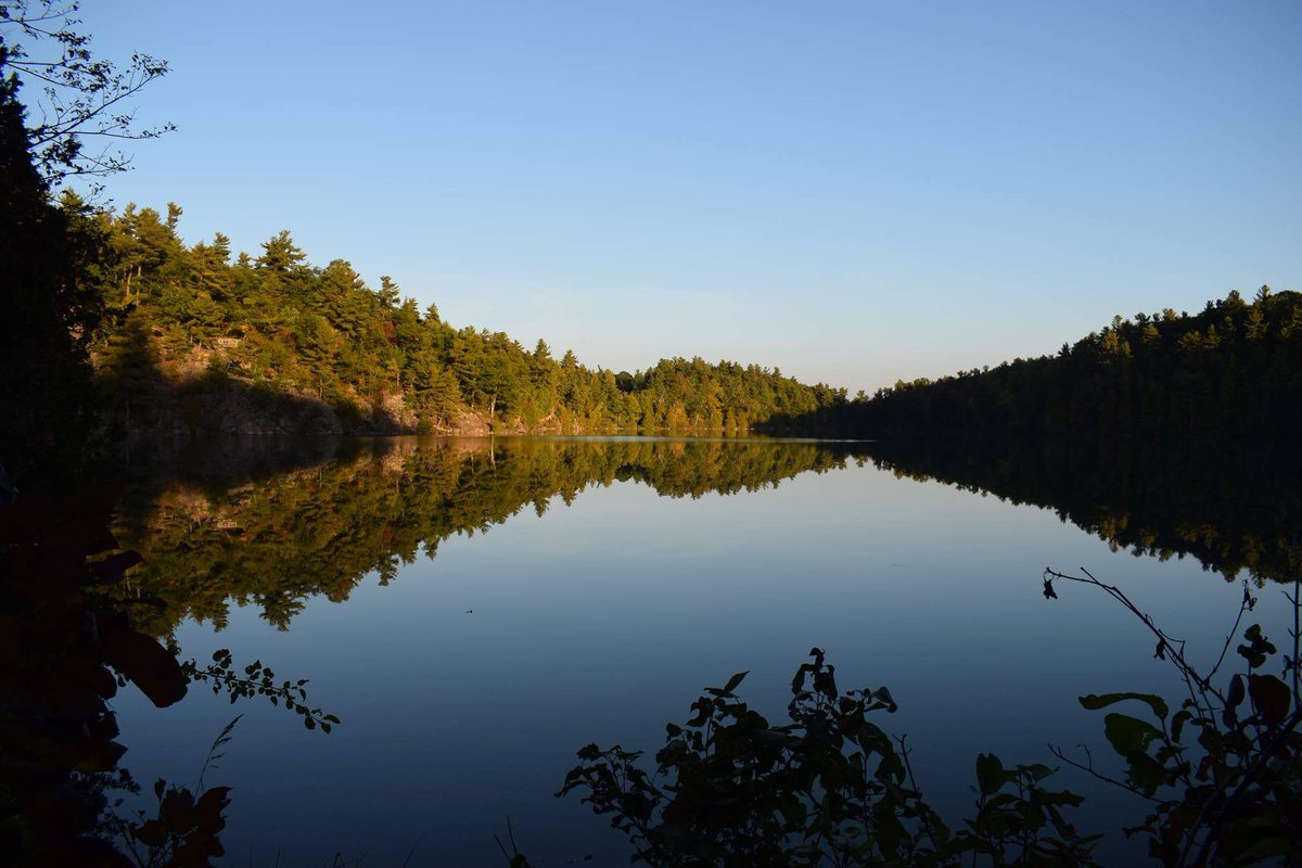 Daily Yers tweet media