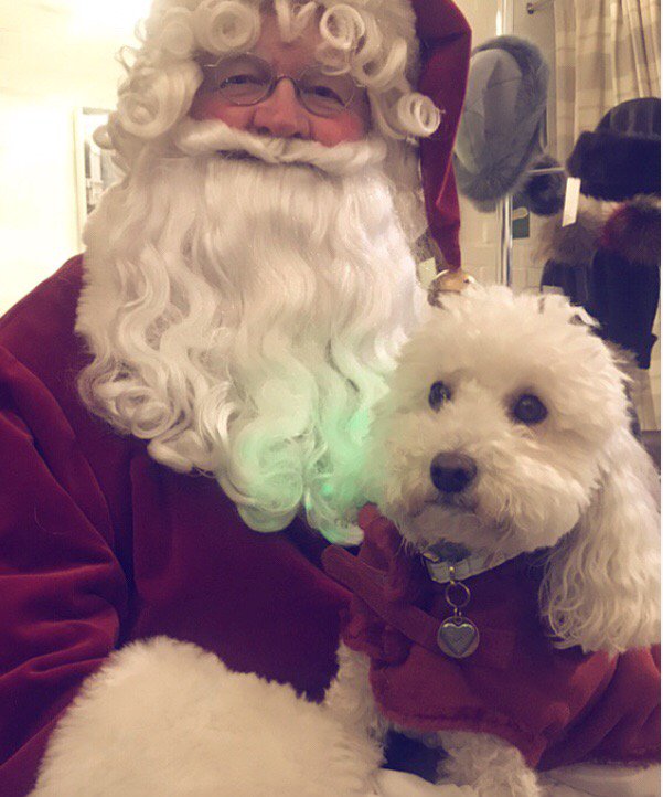 Harry_Nicole_'s tweet photo. We had a special visitor 🎅🏻. Now counting down until the lantern parade &amp; Christmas lights! 4pm #londonchristmas https://t.co/UzuJWECQnu