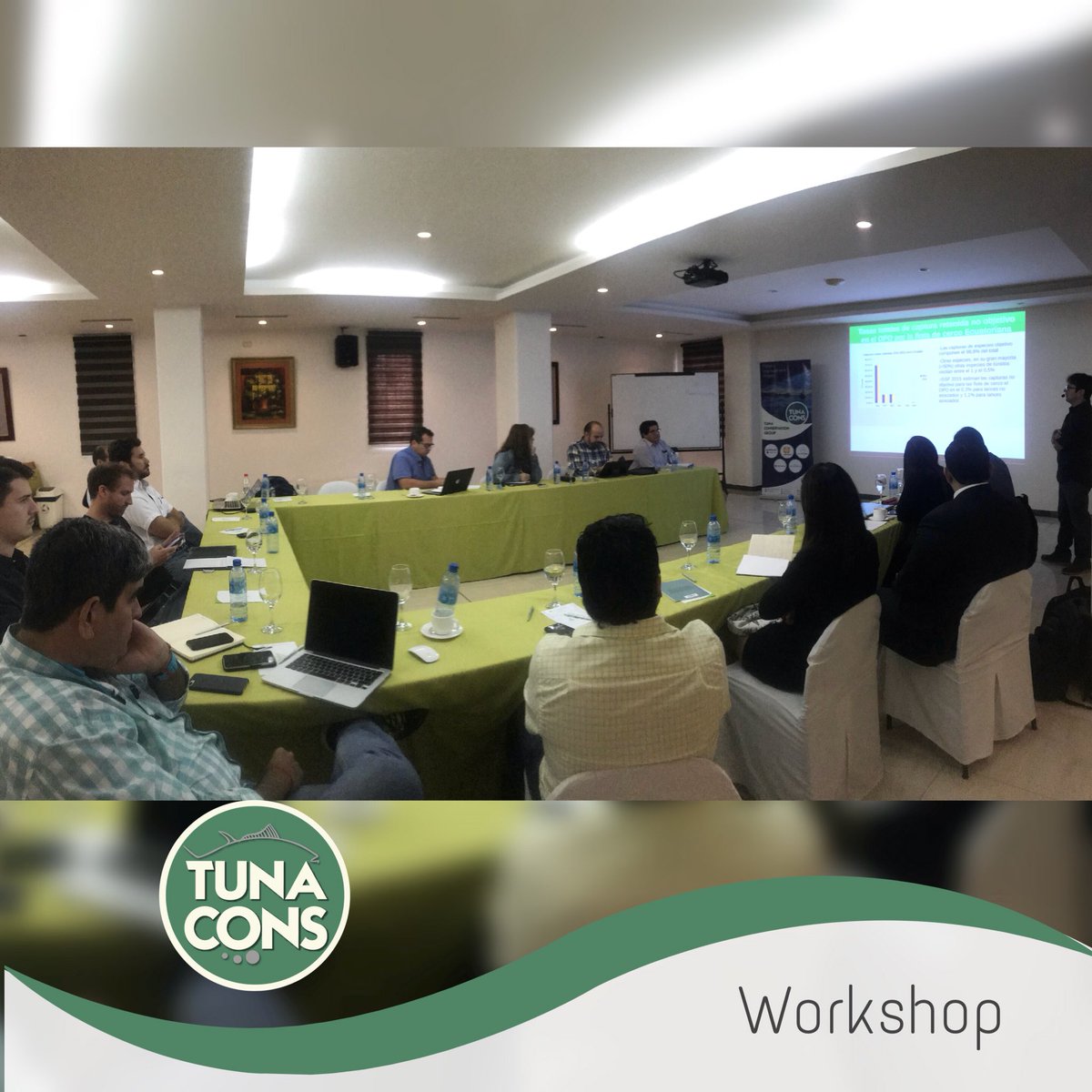 TUNACONSorg's tweet photo. Análisis de especies de captura incidental primarias, secundarias y especies en peligro en la flota atunera con red de cerco. #IATTC #CIAT #MAP #TUNACONSERVATION #TUNACONS https://t.co/Yurqgrn0d2